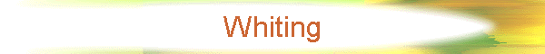 Whiting